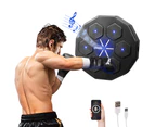 ProPulse Smart Punching Boxing Electronic Music Machine Bluetooth Home Training