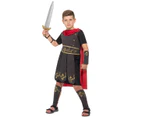 Roman Soldier Child Costume Size: Large