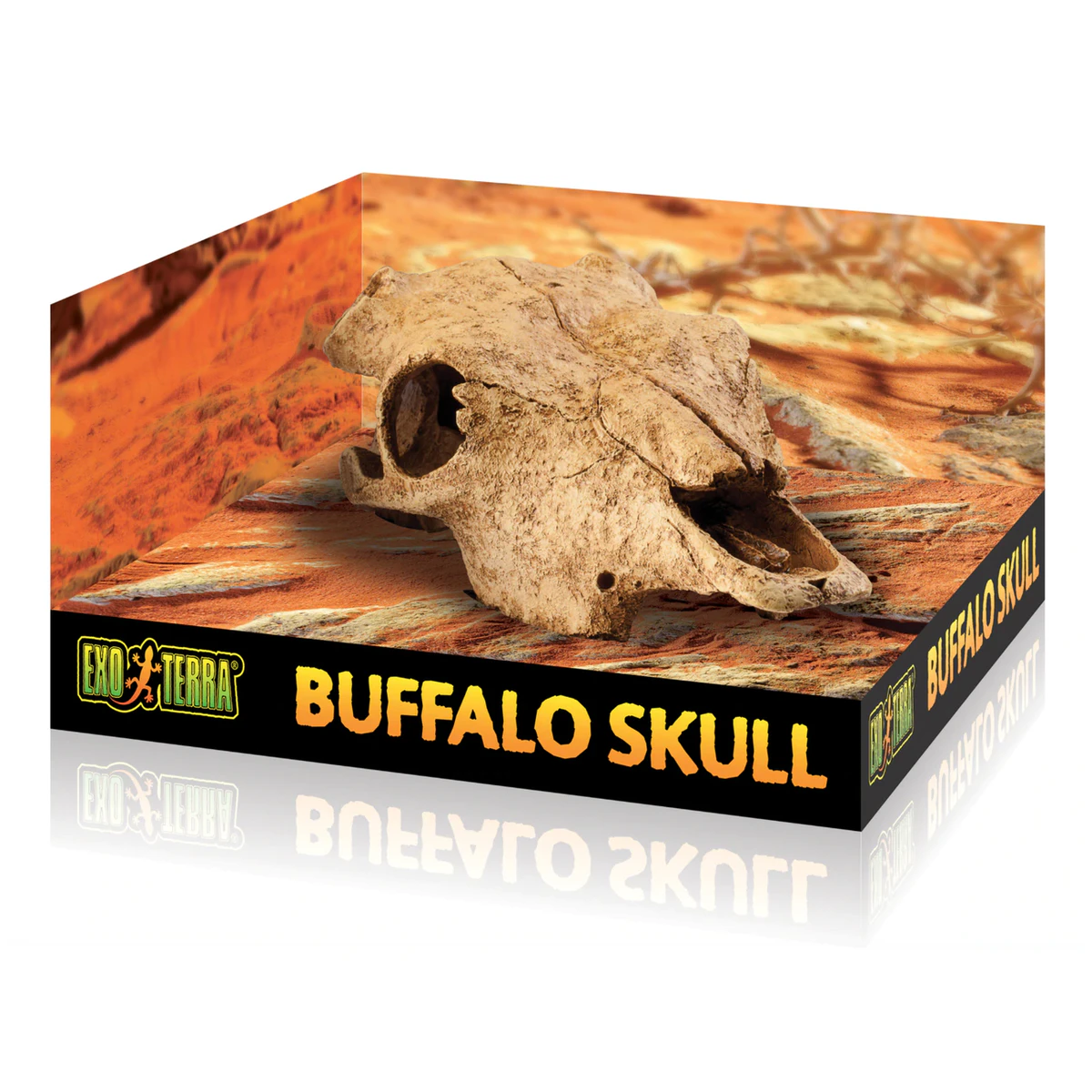 Exo Terra Buffalo Skull - Medium (PT2857)