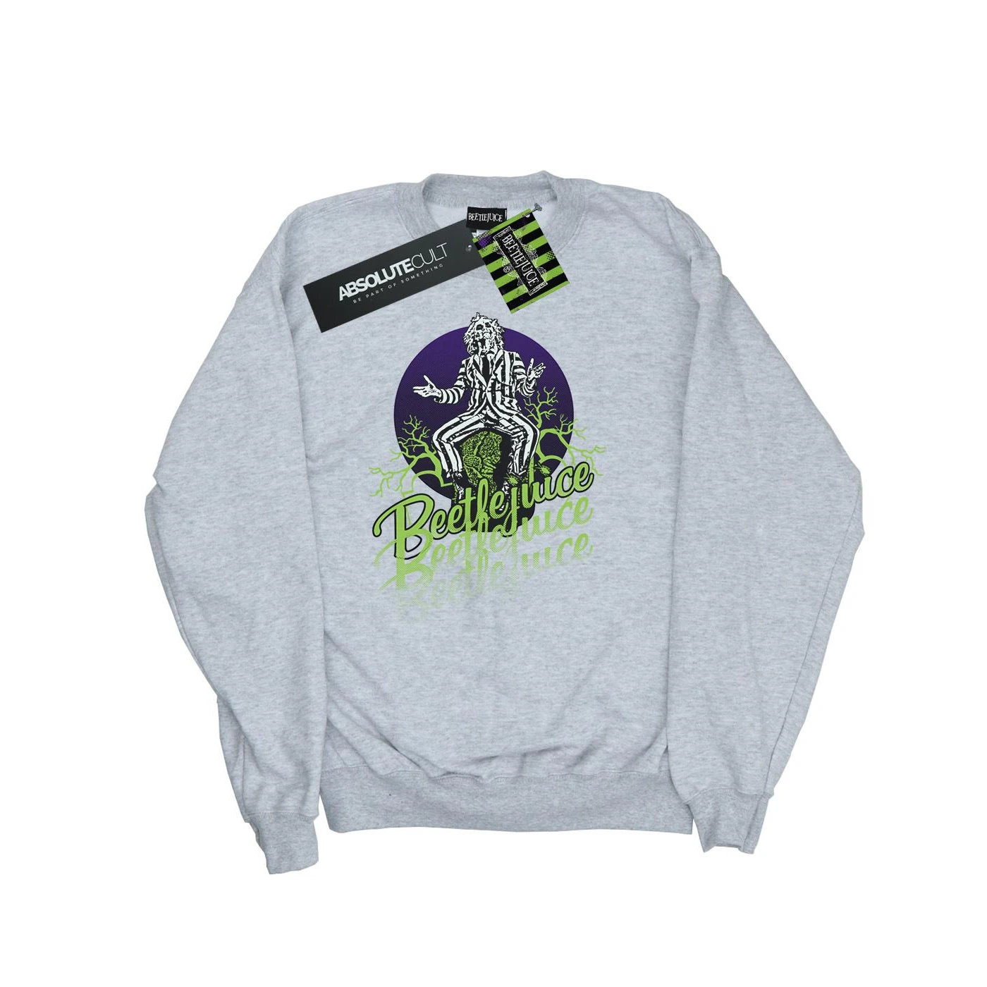 Beetlejuice Mens Faded Pose Sweatshirt (Sports Grey) - BI13786