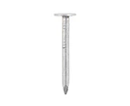 Securfix Galvanised Clout Nails (Silver) - ST9217