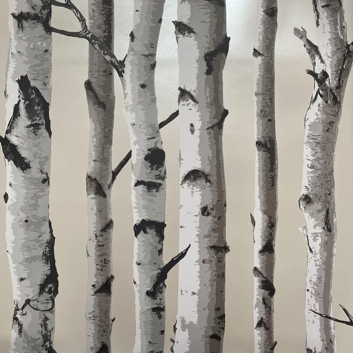 Fine Decor Birch Trees Wallpaper (Cream/Silver) - AG587