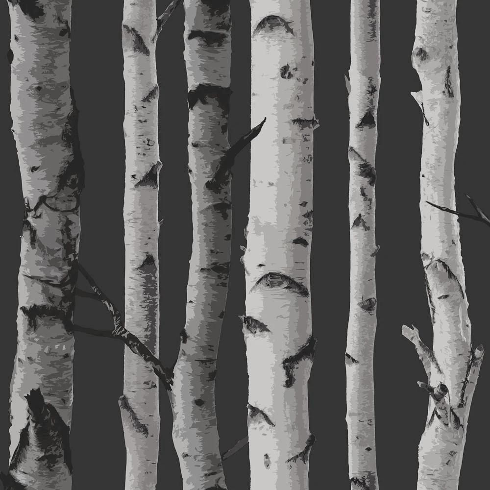 Fine Decor Birch Trees Wallpaper (Black/Silver) - AG587