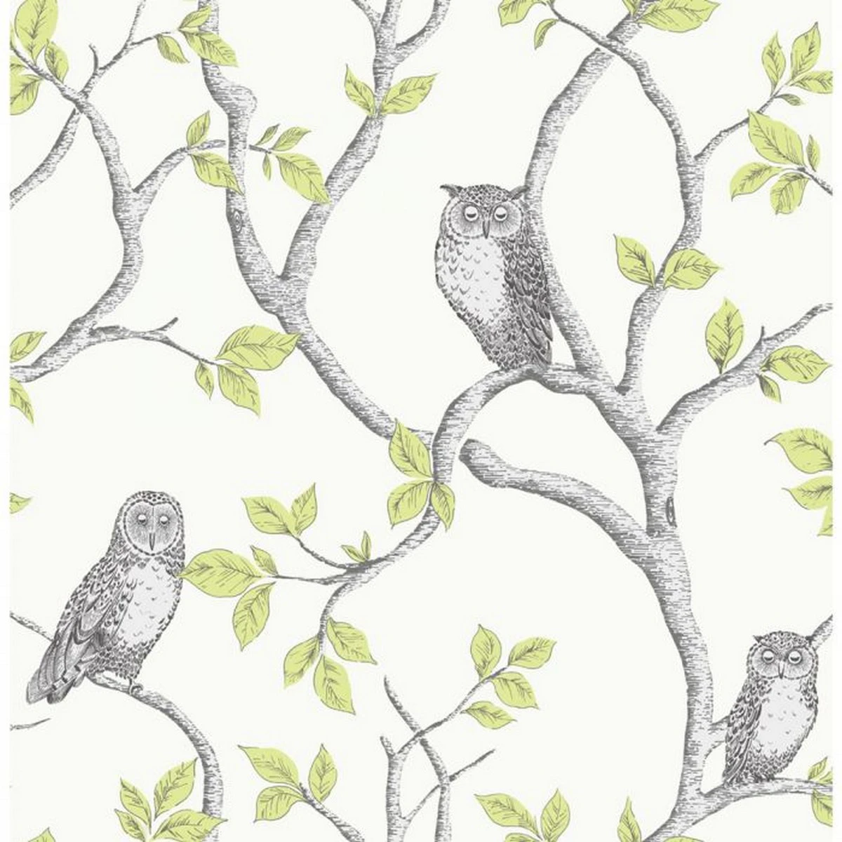 Fine Decor Owl Wallpaper (Green/Cream/Grey) - AG1163