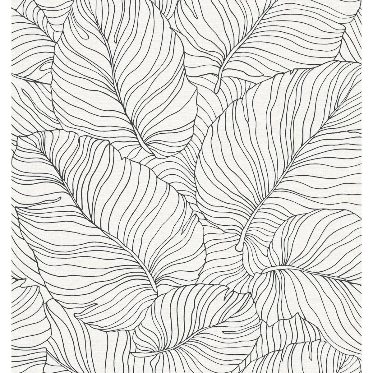 Grandeco Isa Banana Leaf Textured Wallpaper (Black/White) - AG2420