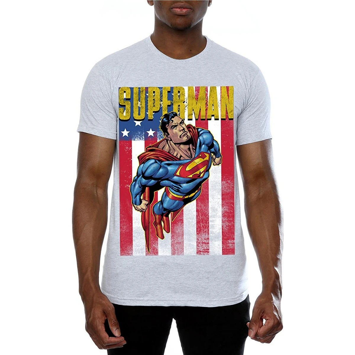 Superman Mens Flight Heather T-Shirt (Grey) - BI1672