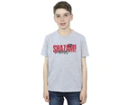 DC Comics Boys Shazam Fury Of The Gods Pride Distress T-Shirt (Sports Grey) - BI33690