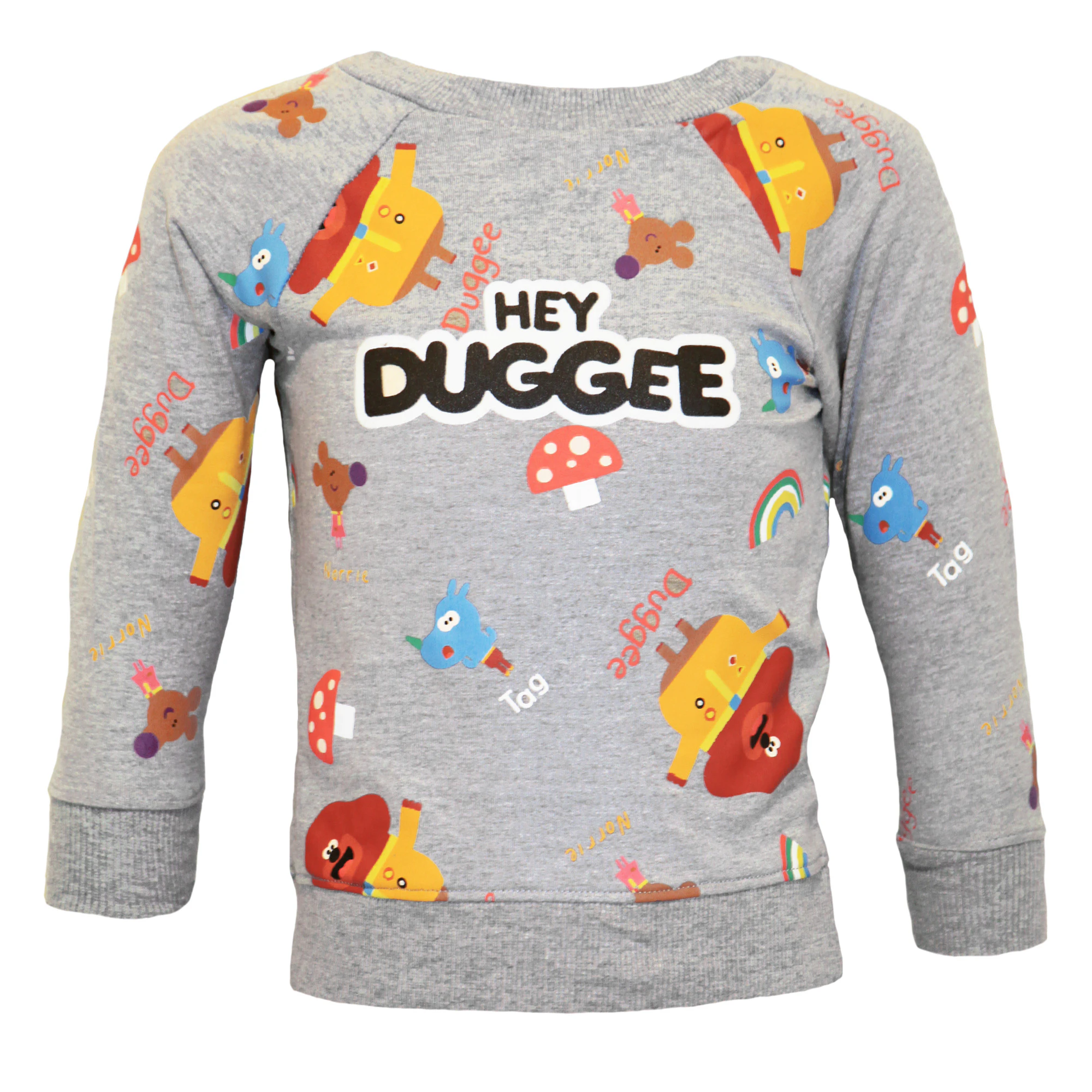 Hey Duggee Boys Squirrel Club Long-Sleeved Sweatshirt (Grey/Multicoloured) - NS6442