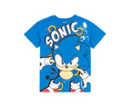 Sonic The Hedgehog Childrens/Kids Character T-Shirt (Pack of 2) (Red/Blue) - NS7163