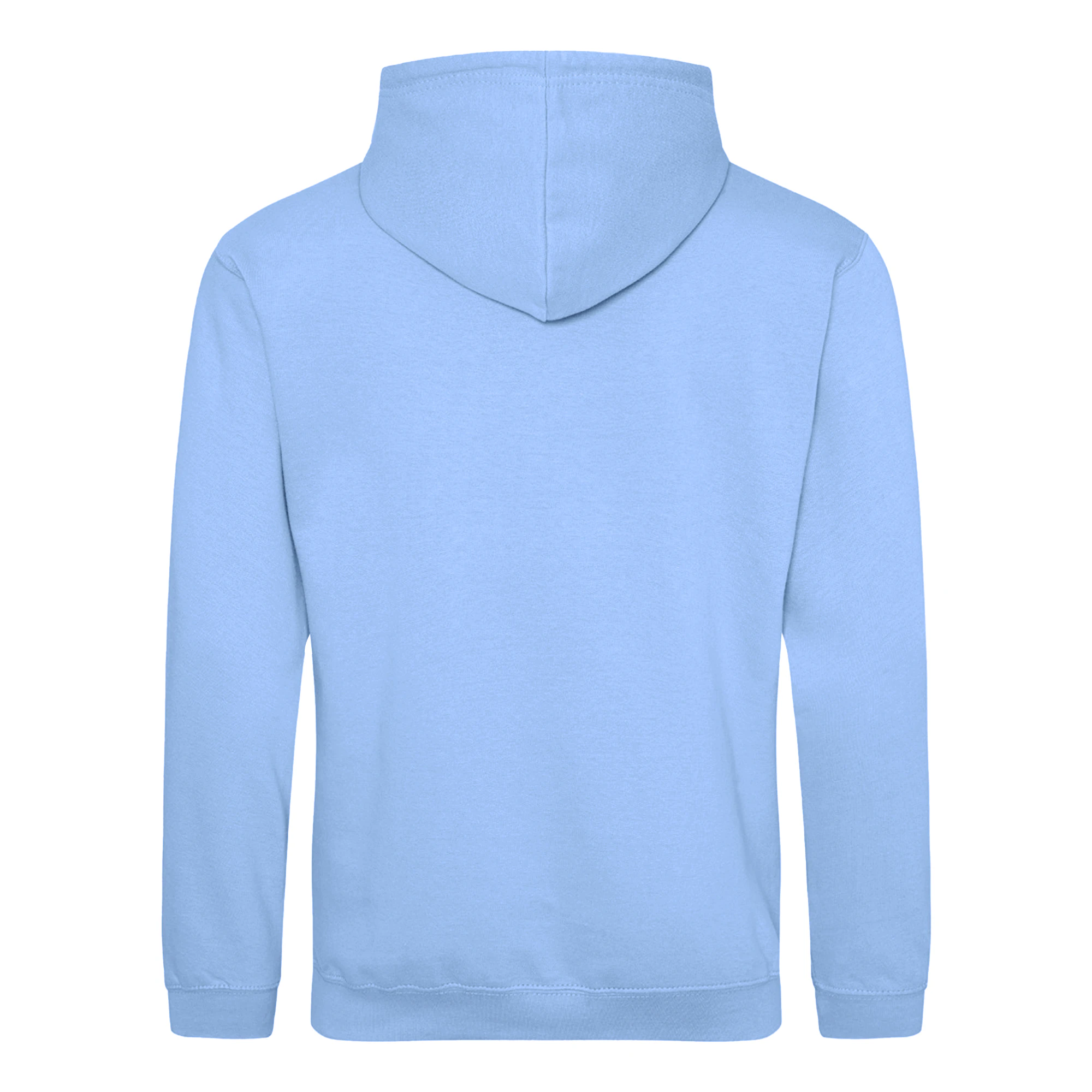 Awdis Unisex Adult College Hoodie (Blue Bottle) - PC4207