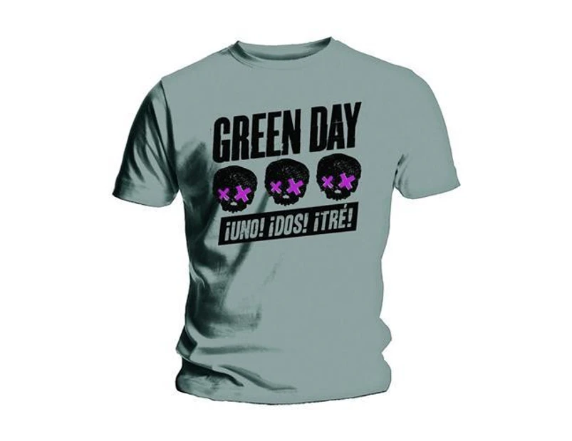 Green Day Unisex Adult Three Heads Better Than One T-Shirt (Grey) - RO2347