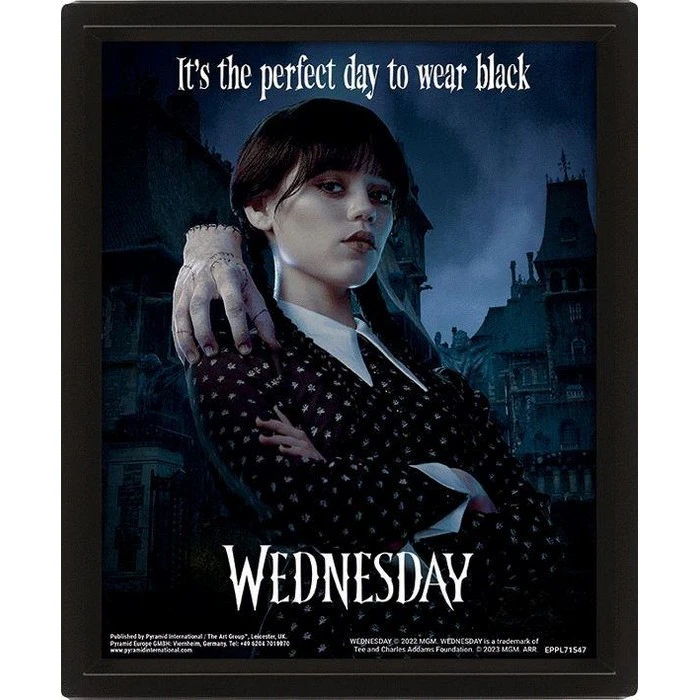 Wednesday It´s The Perfect Day To Wear Black 3D Poster (Black) - PM7673