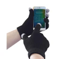 Portwest Touch Screen Winter Gloves (Black) - PW489