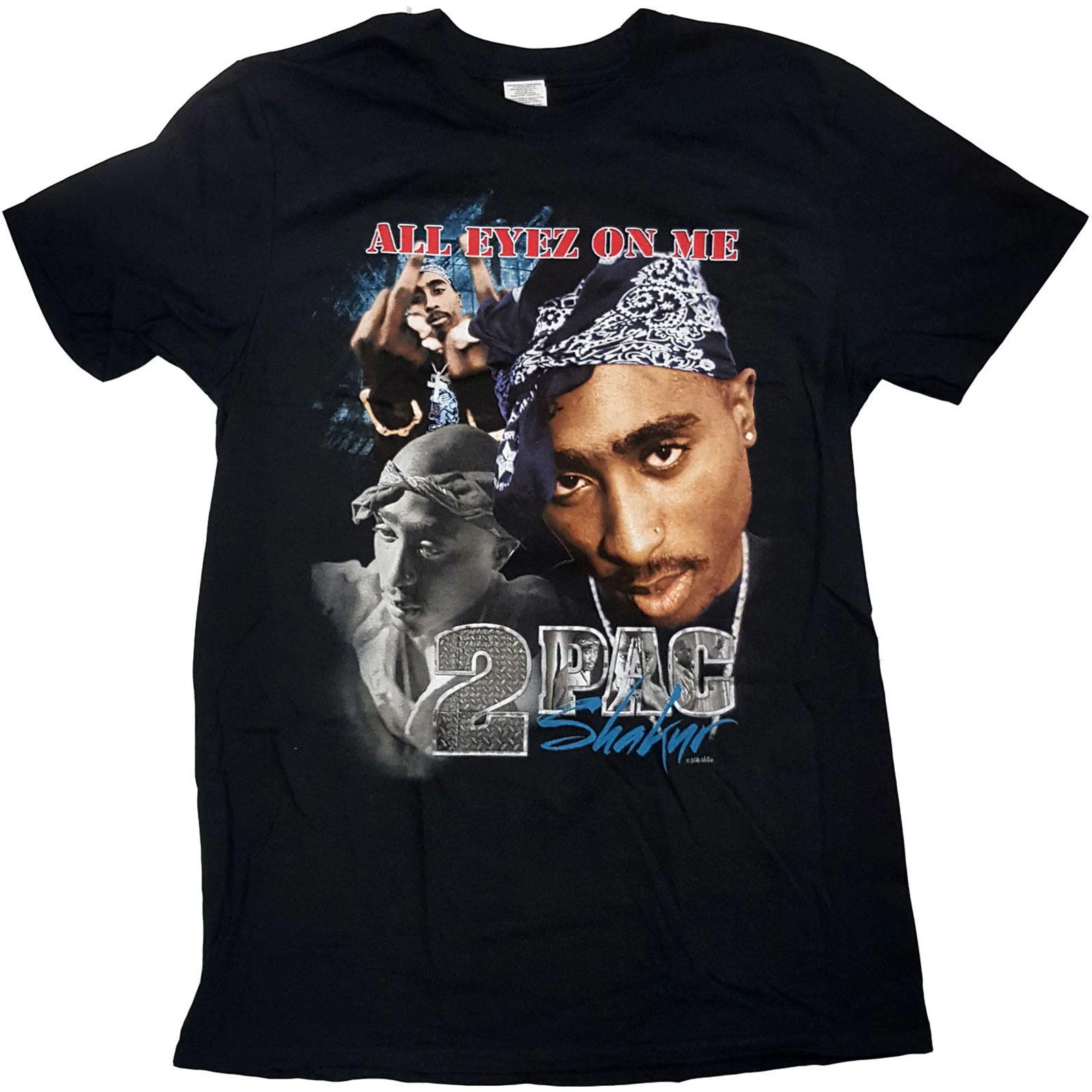 Tupac Shakur Unisex Adult All Eyez Homage Cotton T-Shirt (Black) - RO8019