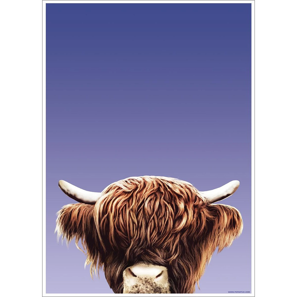 Inquisitive Creatures Highland Cow Poster (Blue/Brown) - GR2202