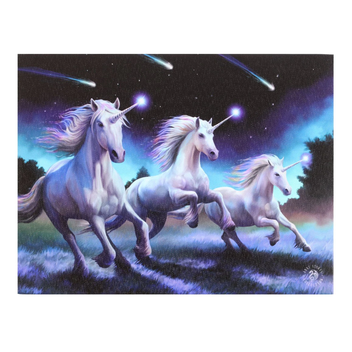 Anne Stokes Shooting Star Canvas Plaque (Multicoloured) - SD4830