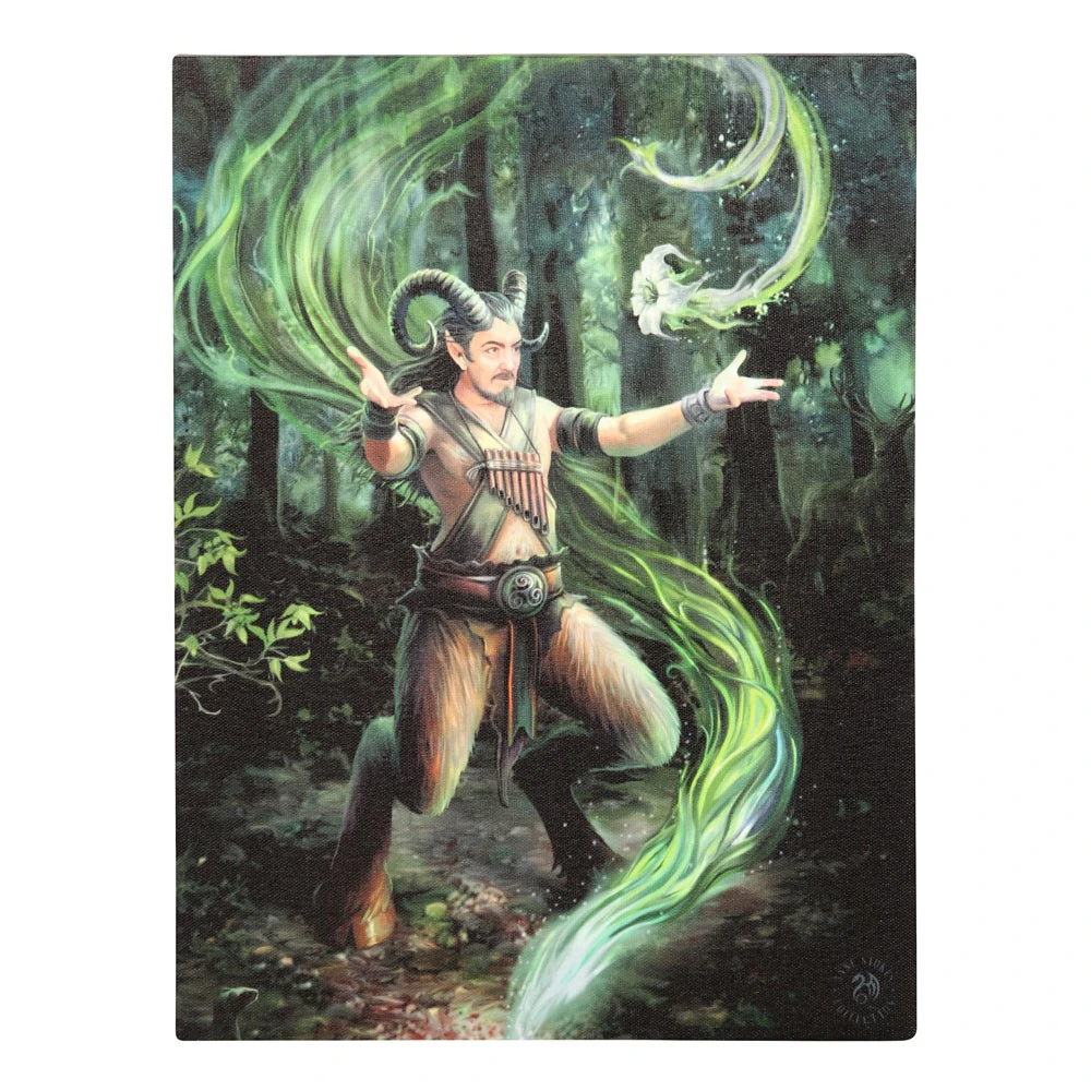 Anne Stokes Earth Elemental Wizard Canvas Plaque (Multicoloured) - SD5219