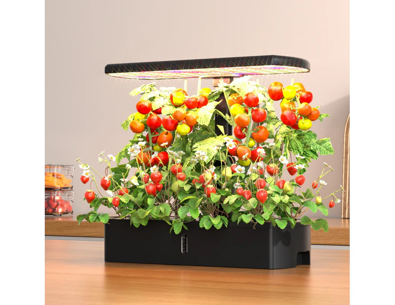 Green Fingers Hydroponics Growing System with LED lights