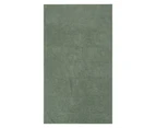 Mountain Warehouse Giant Micro-Towelling Towel (Khaki Green) - MW2979