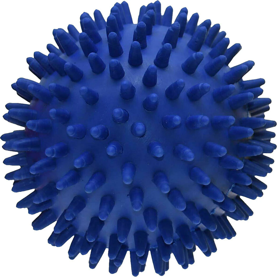 Pre-Sport Spiked Ball (Blue) - RD1308