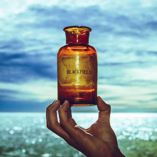 Blackfield - Blackfield V  [VINYL LP] USA import