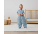 ErgoPouch Sleep Suit Bag TOG 2.5 Baby/Toddler Cotton Dragonflies