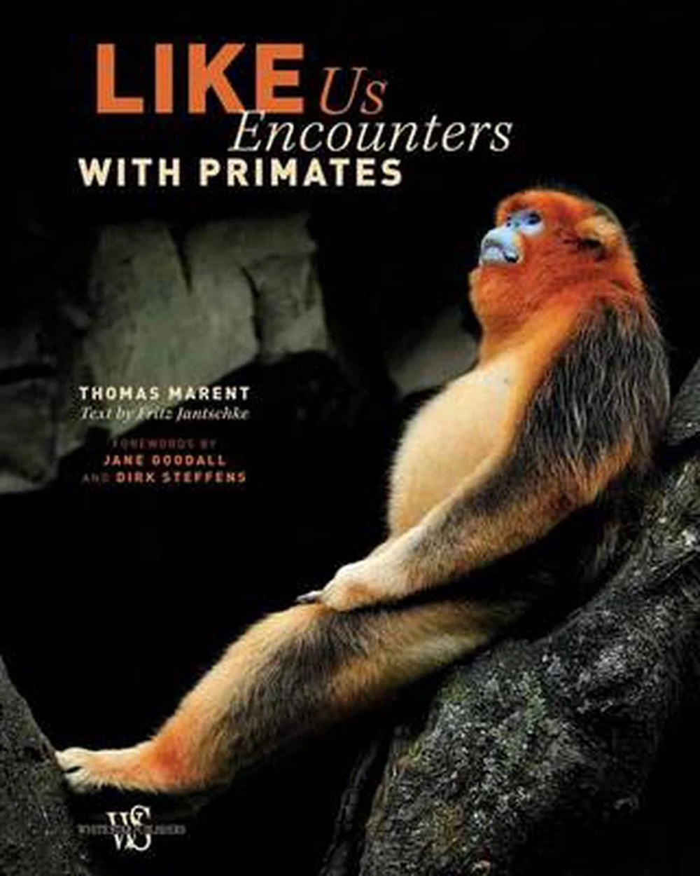 Like Us: Encounters with Primates