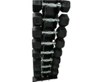 Package Of 2kg 10kg Rubber Hex Dumbells And Vertical Storage Rack Tree