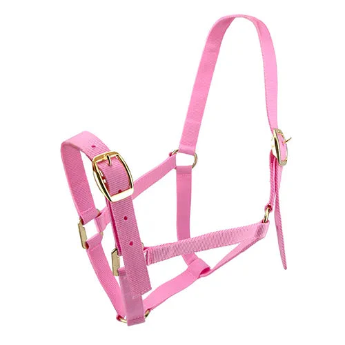 Horse Halter Nylon - Full*