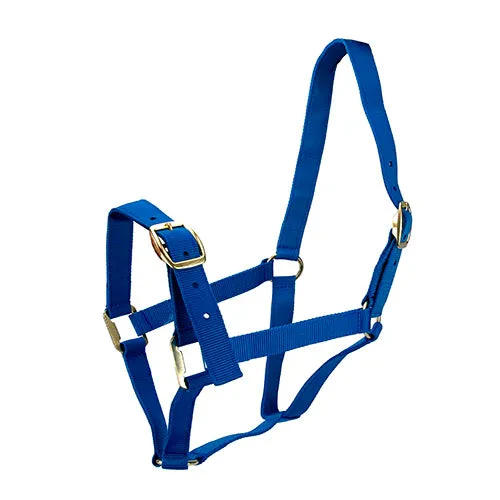 Horse Halter Nylon - Full*