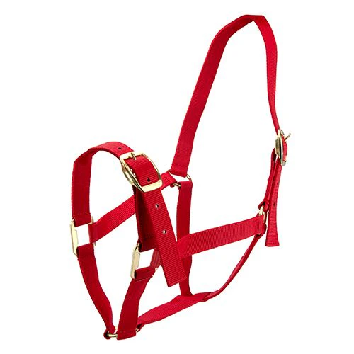 Horse Halter Nylon - Pony*