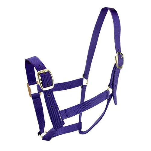 Horse Halter Nylon - Pony*