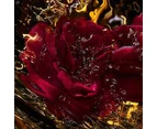 Guerlain Absolus Allegoria Rose Amira EDP 125ml