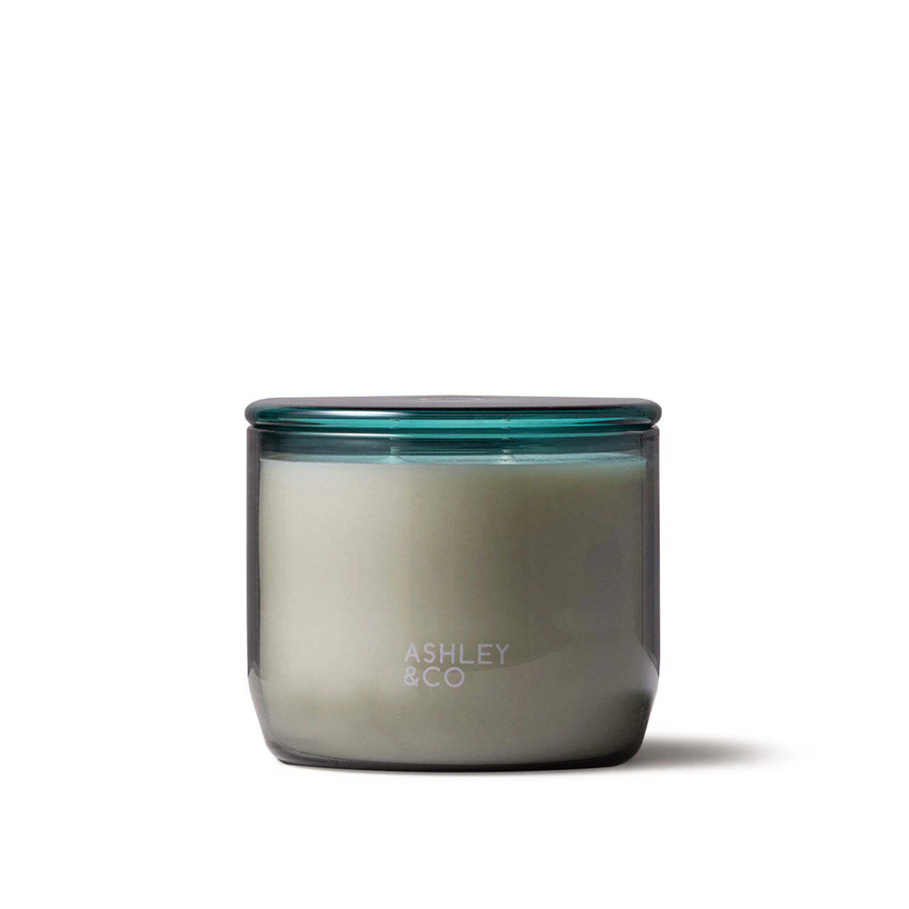 Ashley & Co Waxed Perfume 730g Scented Candle Round Tui & Kahili Scent/Aroma XL