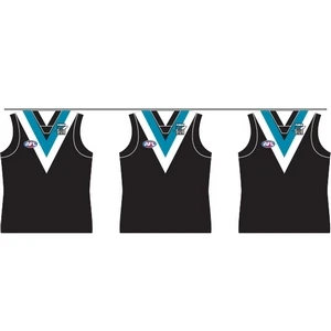 Port Adelaide Power Party Bunting