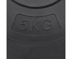 vidaXL Weight Plates 6 pcs 30 kg Cement
