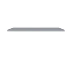 vidaXL Floating Wall Shelves 2 pcs Grey 120x23.5x3.8 cm MDF