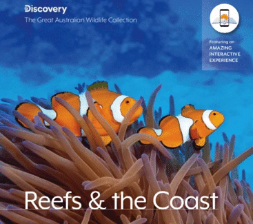 The Great Australian Wildlife Collection : Reefs & the Coast