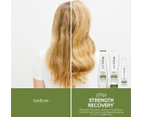 Matrix Biolage Strength Recovery Conditioning Cream 1L