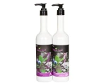 WonderLand Blueberry Colour-Lock Shampoo 1 litre