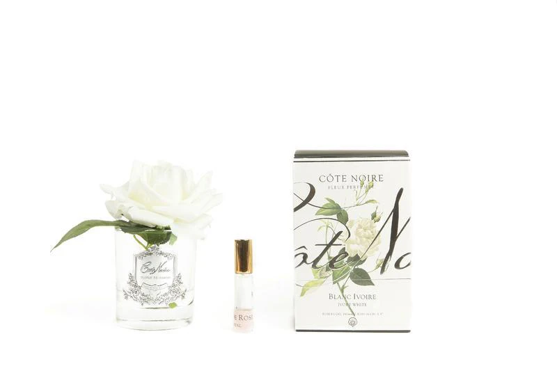 Cote Noire Perfumed Natural Touch Rose - Ivory White GMR01