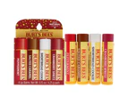 Burts Bees Lip Balm Festive Fix 4-Pack - 2022 by Burts Bees for Unisex - 1 Pack Lip Balm