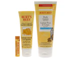 Burts Bees Honey Pot Gift by Burts Bees for Unisex - 3 Pc 6oz Body Lotion, 2.6oz Hand Cream, 0.15oz Lip Balm