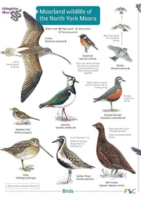 Moorland wildlife of the North York Moors by Field Studies Council