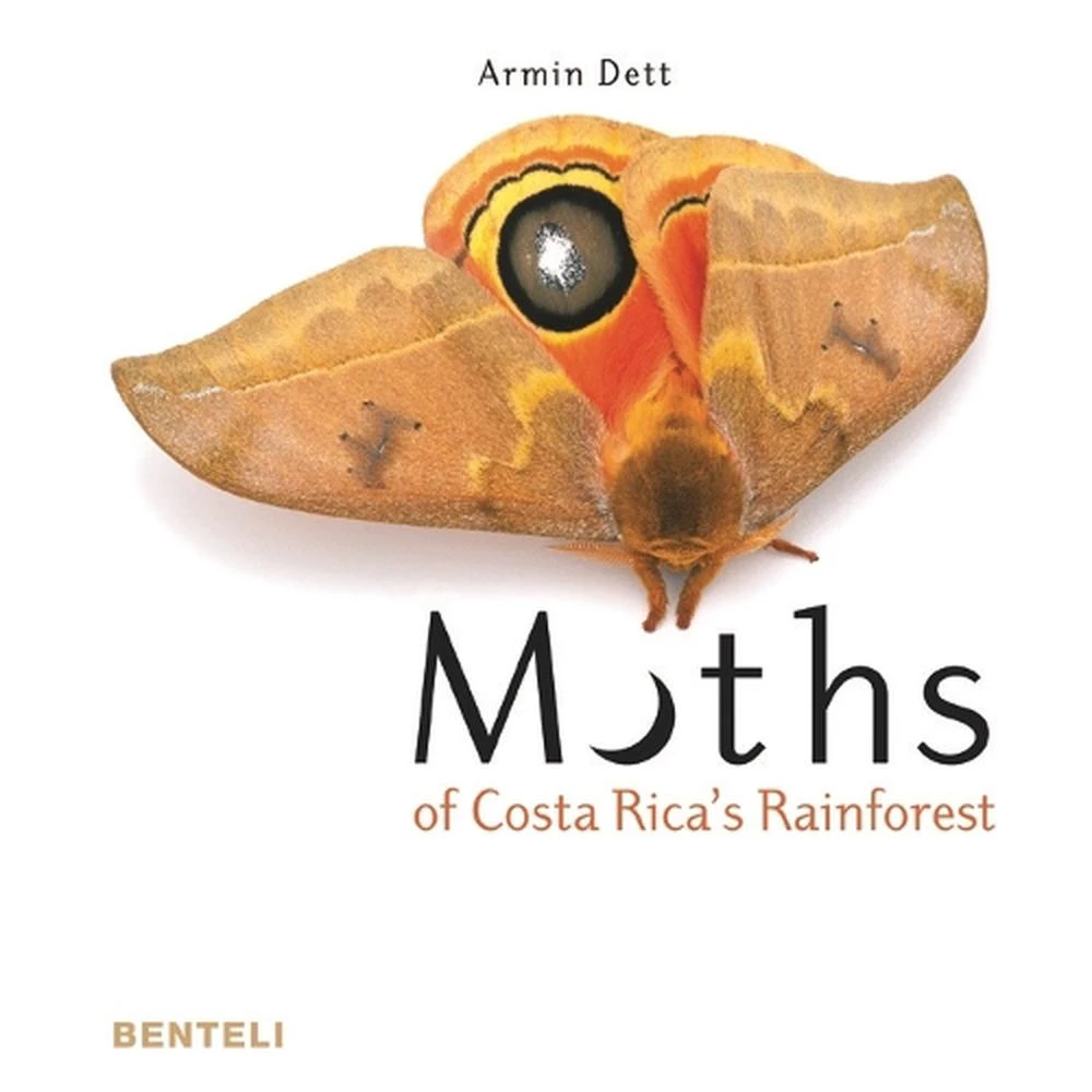 Moths of Costa Rica's Rainforest