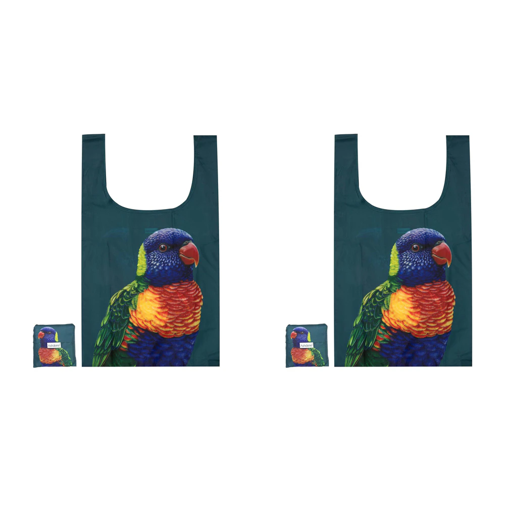 2x Ashdene Plastic 64x36cm Modern Birds Rainbow Lorikeet Shopping Tote/Hand Bag