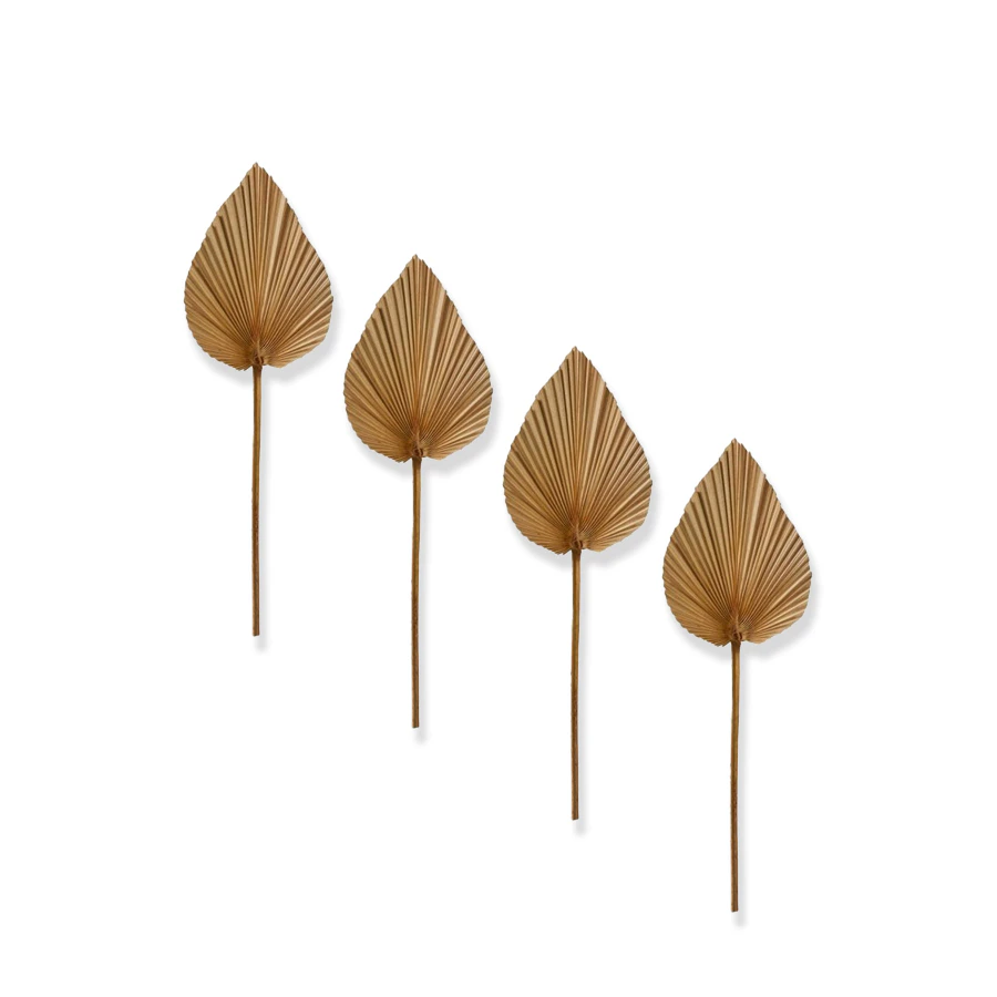 4x E Style Decorative 50cm Fan Palm Mini Heart Dried Stem Leaf Decor Natural