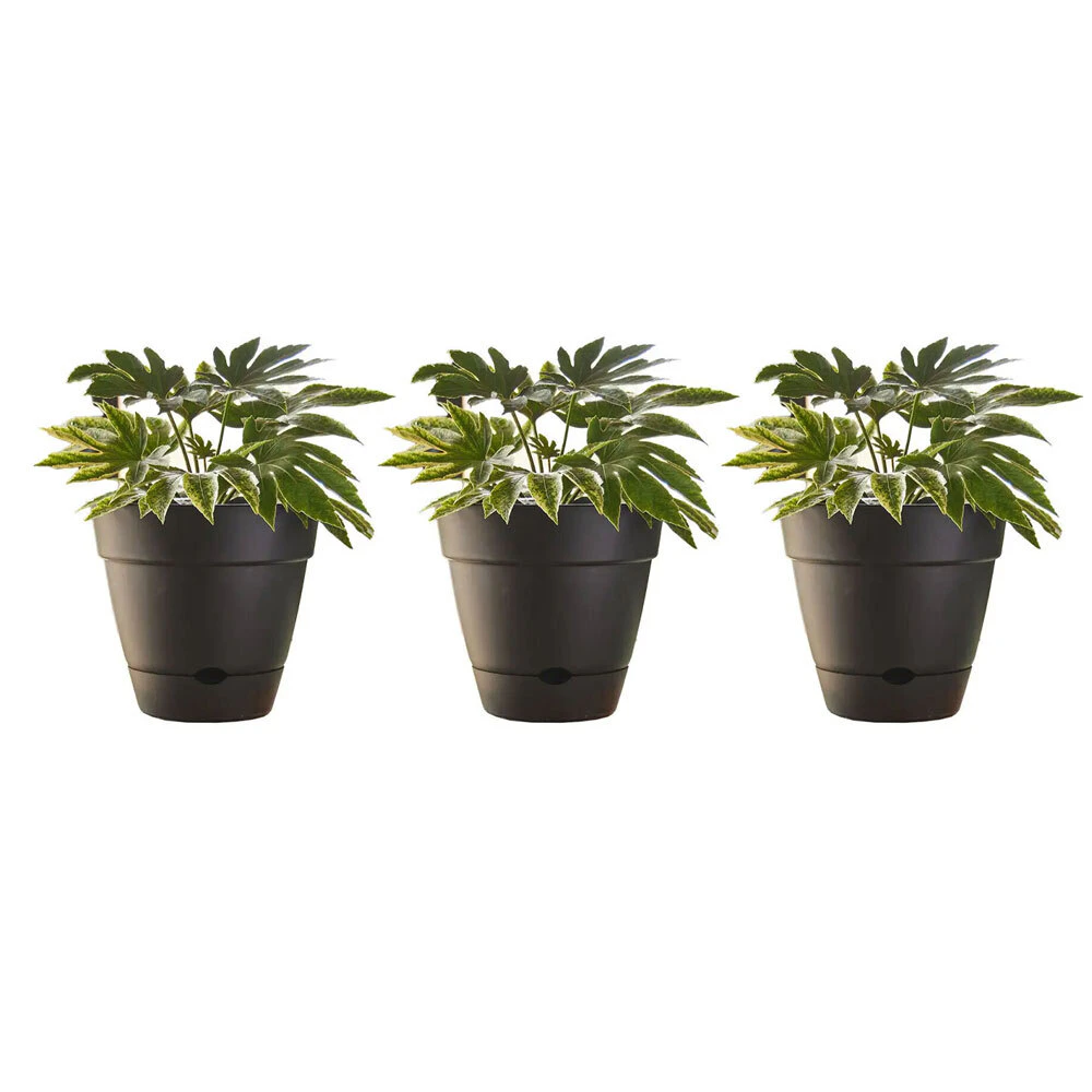 3x Northcote Pottery Leonard 20x18cm Self Watering Plant Pot Garden Decor Black