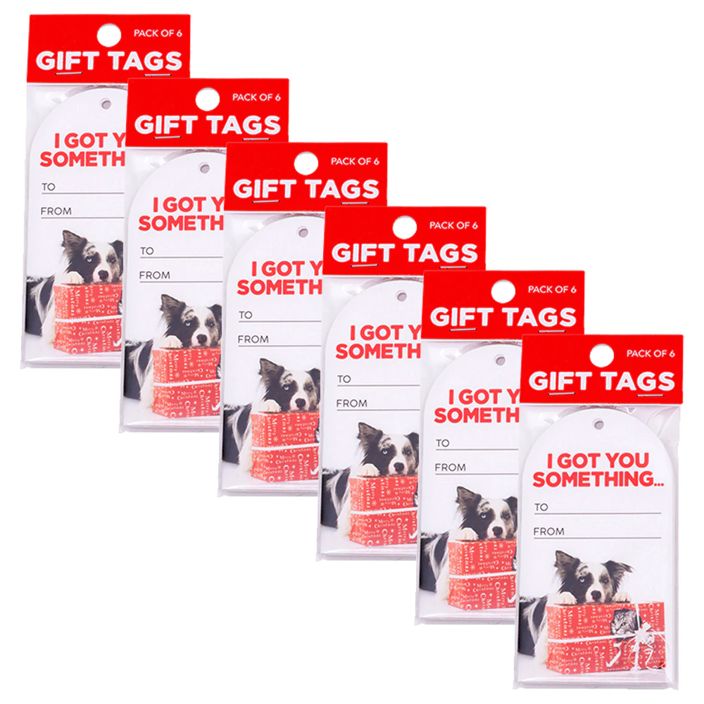 36pc Splosh Christmas Got You Gift Tags Set 300gsm Card 11.5cm Label White/Red