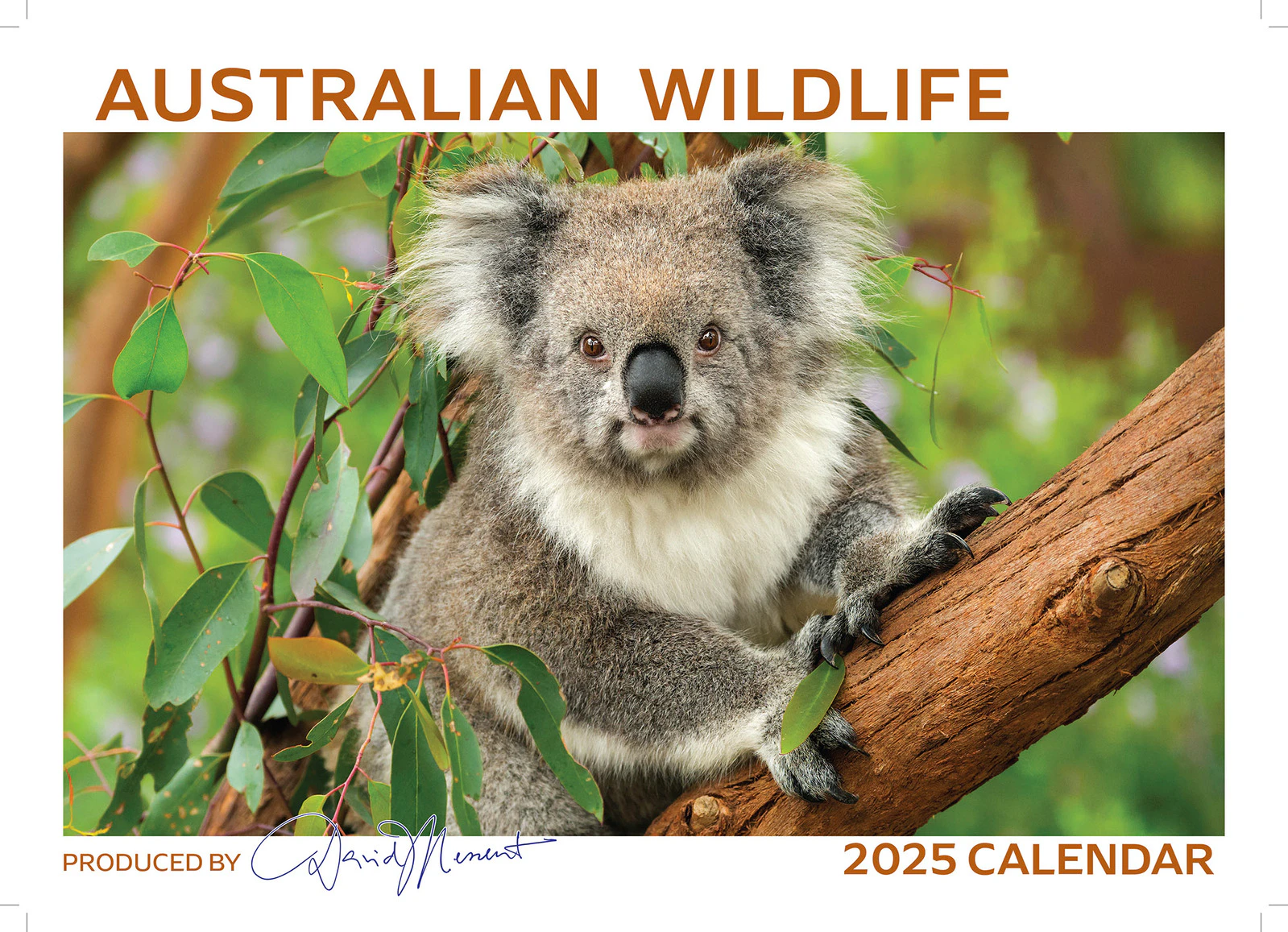 2025 Calendar Australian Wildlife Wall David Messent WLC